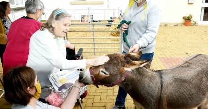 buckingham lodge nursing home donkey visit 1