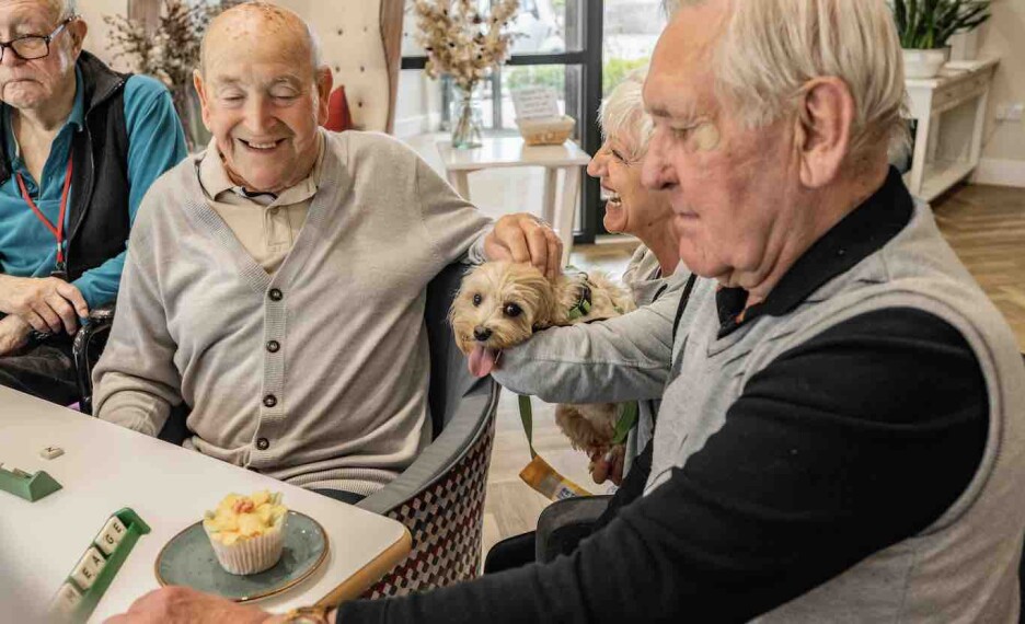 Pet Therapy at Brackley nursing home