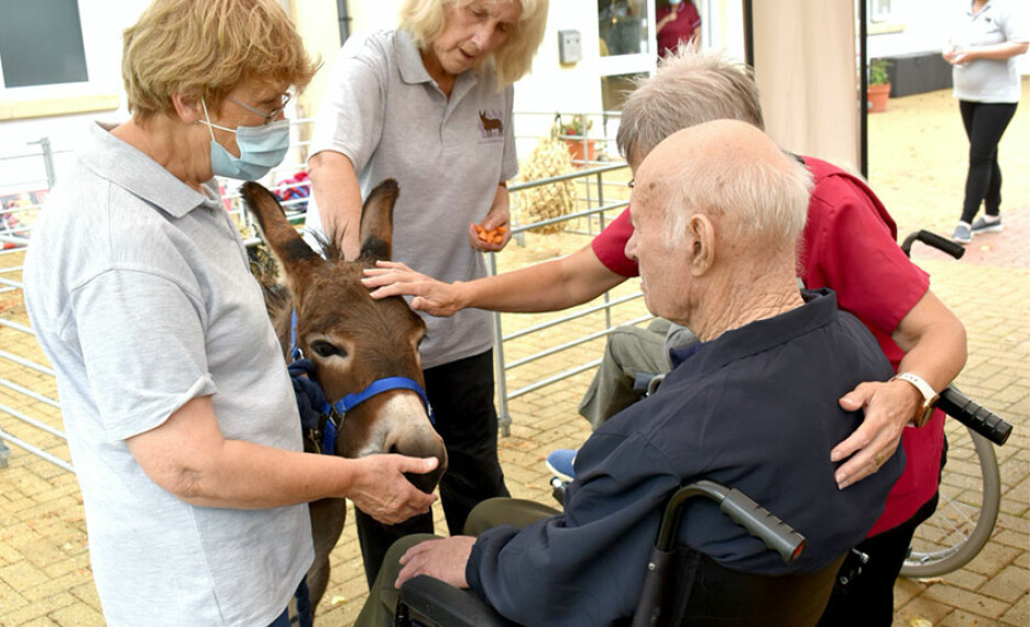 buckingham lodge nursing home donkey visit 2